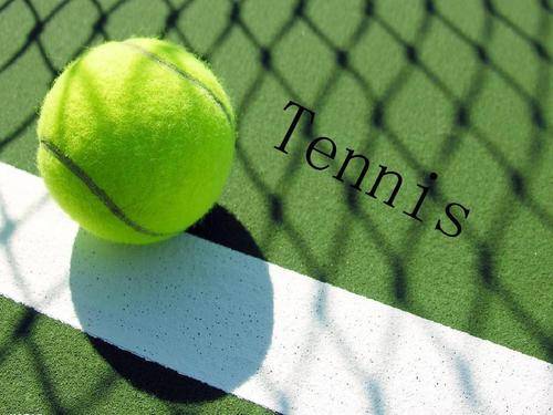 条款中已有 条款中已有