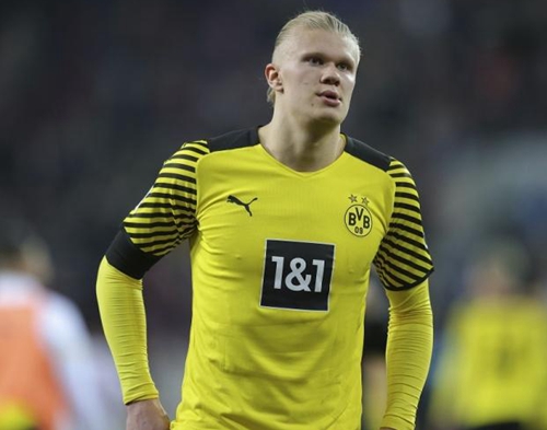 为理性筛选 为理性筛选